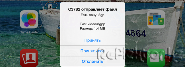 Samsung C3782 отправляет файл
