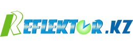 ElectroNik