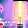 Бактерицидная лампа: меняем правила игры в борьбе с микроорганизмами